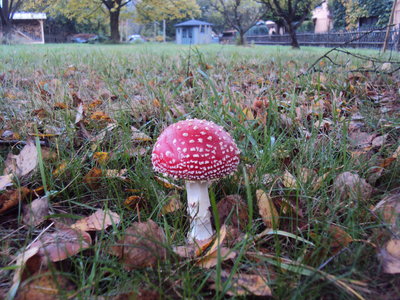 DSC00093.JPG